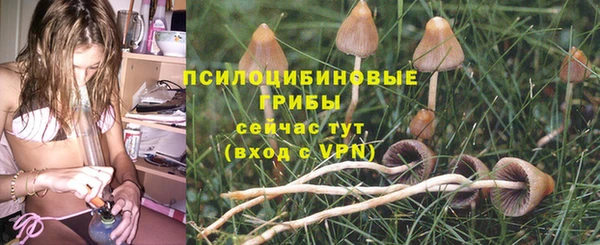 спиды Гусь-Хрустальный