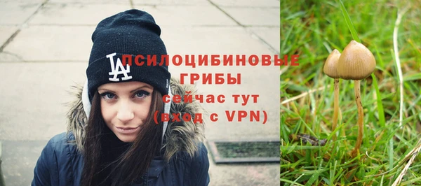 прущие крисы Дмитриев