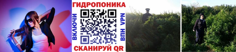 Конопля OG Kush  это клад  Иваново  наркотики 